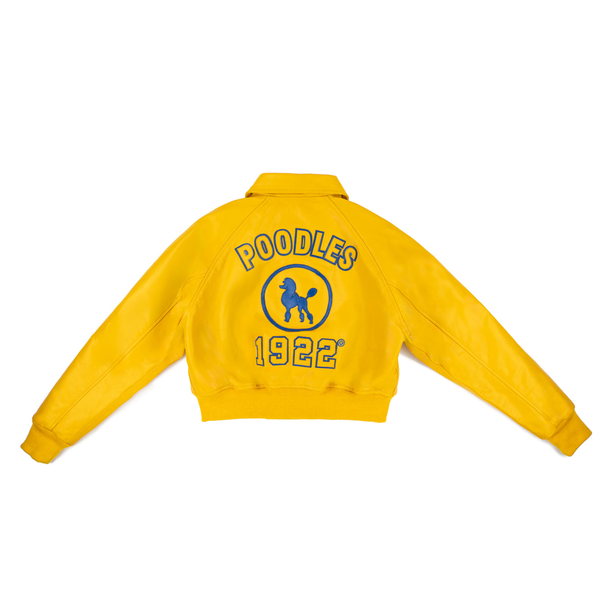 All Eyes On Me SGRHO Crop Leather Bomber