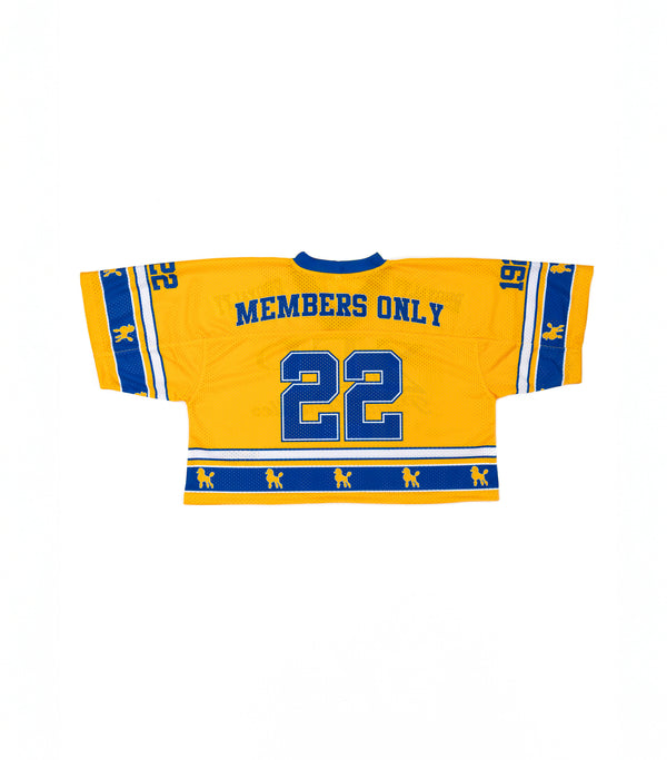 Sigma Gamma Crop Oversized Football Jersey