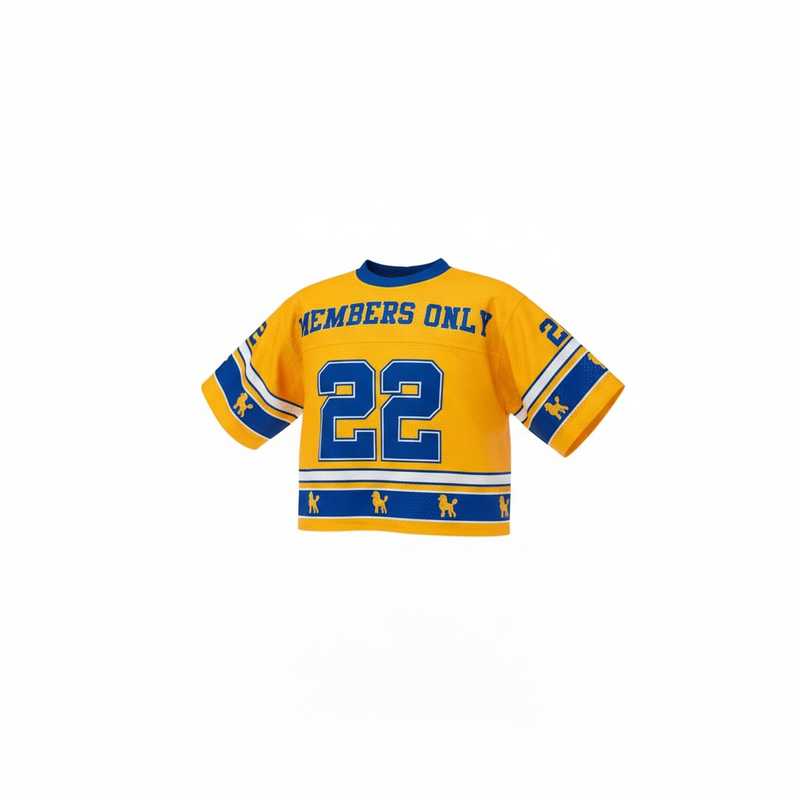 Sigma Gamma Crop Oversized Football Jersey